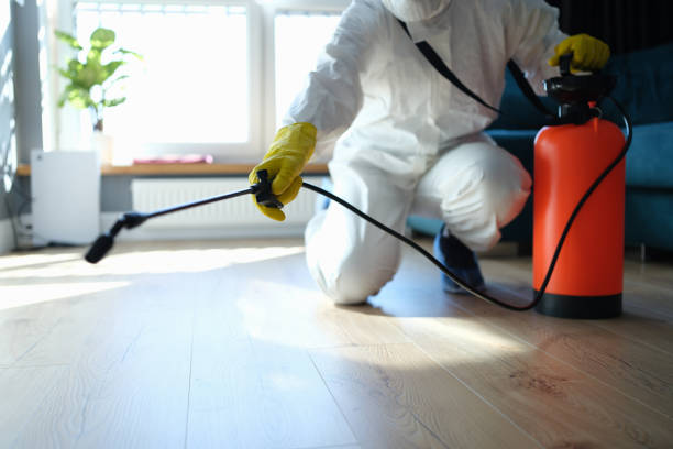 Reliable Odor Removal contractor in Lexington, MN by Trauma Clean Pros